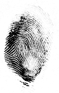 fingerprint